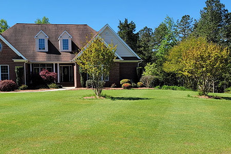 How Often Should You Mow in Peak Growing Season?