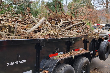 Lawn Cleanup After Storms: What to Remove First to Protect Your Turf