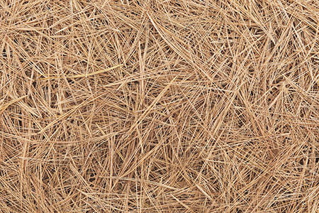 Mulch vs. Pine Straw: Which Is Better for Upstate Landscapes?