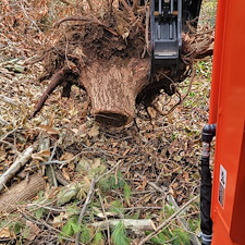 Expert-Storm-Cleanup-Brush-Removal-in-Western-North-Carolina 1