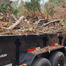 Expert-Storm-Cleanup-Brush-Removal-in-Western-North-Carolina 2