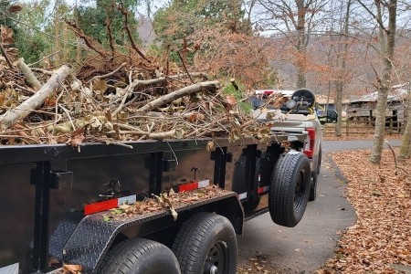 Lawn Cleanup