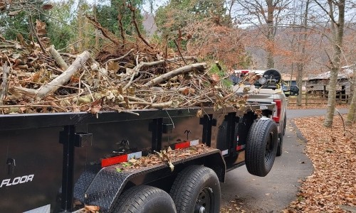 Lawn cleanup services